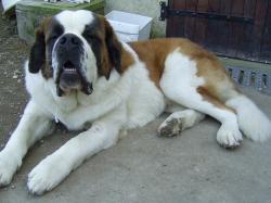 Baxter
